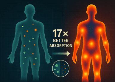 TeaHC nano-emulsion vs standard absorption visualization